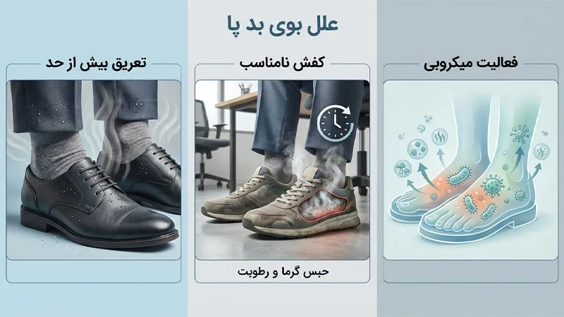 فعالیت باکتری ها و اثر بوی بد پا